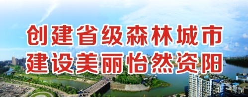 那里能看操逼视频创建省级森林城市 建设美丽怡然资阳